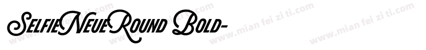 SelfieNeueRound Bold字体转换